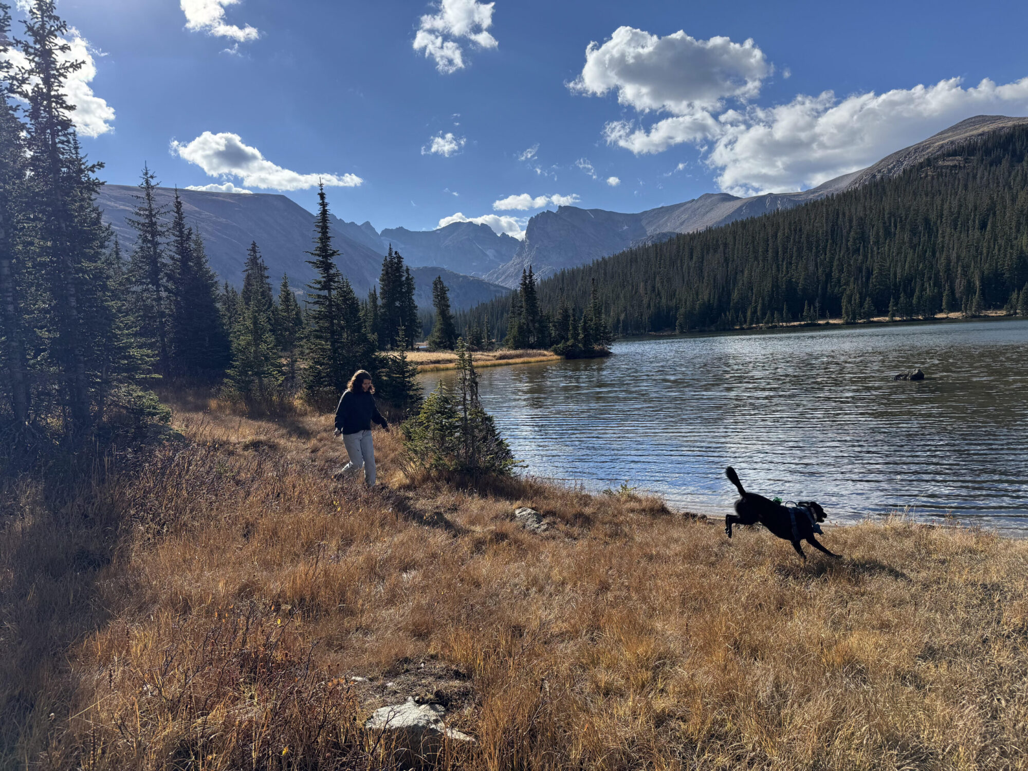 girl running in mountains with dog